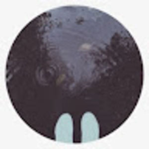 Meet your Posher, Raindrop